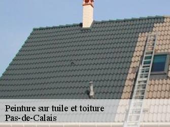 Peinture sur tuile et toiture Pas-de-Calais 