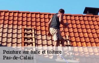 Peinture sur tuile et toiture Pas-de-Calais
