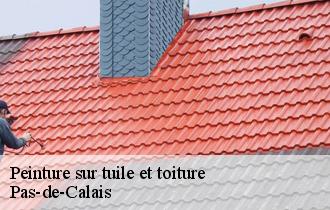 Peinture sur tuile et toiture Pas-de-Calais