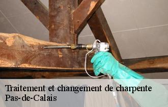 Traitement et changement de charpente Pas-de-Calais