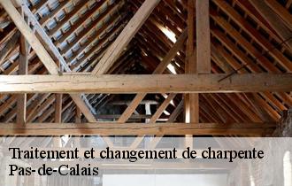 Traitement et changement de charpente