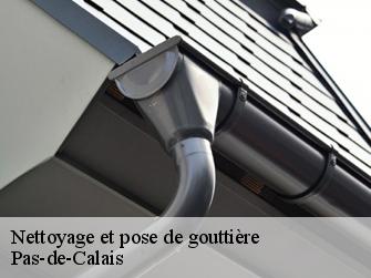 Nettoyage et pose de gouttière Pas-de-Calais 