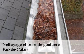 Nettoyage et pose de gouttière Pas-de-Calais