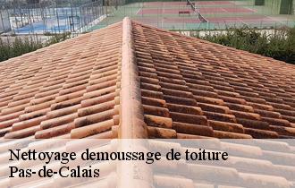Nettoyage demoussage de toiture Pas-de-Calais