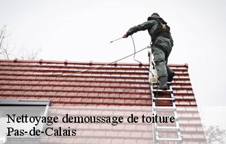 Nettoyage demoussage de toiture