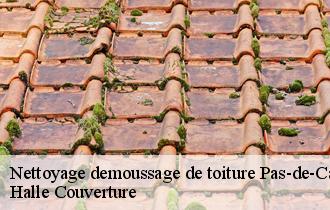 Nettoyage demoussage de toiture