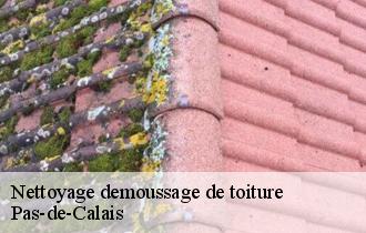 Nettoyage demoussage de toiture Pas-de-Calais