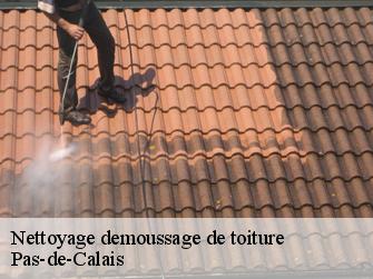 Nettoyage demoussage de toiture Pas-de-Calais 