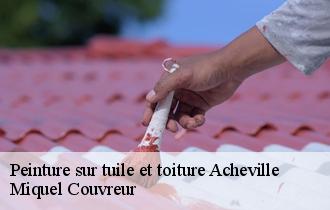 Peinture sur tuile et toiture  acheville-62320 Miquel Couvreur