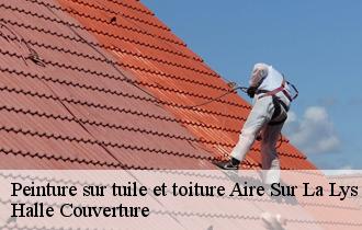 Peinture sur tuile