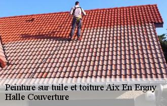 Peinture sur tuile et toiture  aix-en-ergny-62650 Halle Couverture