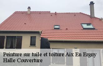 Peinture sur tuile et toiture  62650