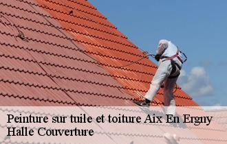 Peinture sur tuile et toiture