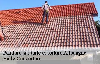 Peinture sur tuile et toiture allouagne-62157 Halle Couverture