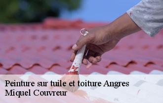 Peinture sur tuile et toiture  angres-62143 Miquel Couvreur