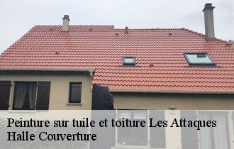 Peinture sur tuile et toiture  62730