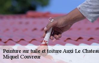 Peinture sur tuile et toiture  auxi-le-chateau-62390 Miquel Couvreur