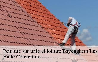 Peinture sur tuile et toiture