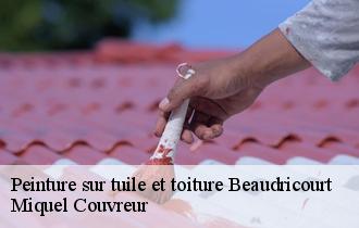 Peinture sur tuile et toiture  beaudricourt-62810 Miquel Couvreur