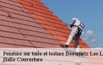 Peinture sur tuile et toiture