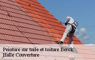 Peinture sur tuile et toiture