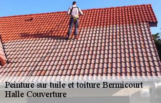 Peinture sur tuile et toiture  bermicourt-62130 Halle Couverture