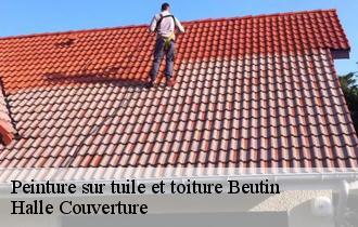 Peinture sur tuile et toiture  beutin-62170 Halle Couverture