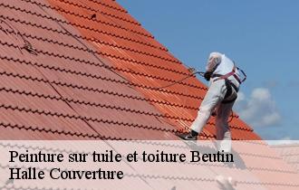 Peinture sur tuile et toiture