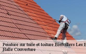 Peinture sur tuile et toiture