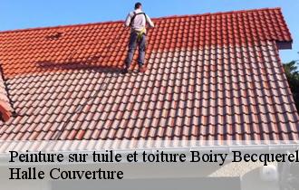 Peinture sur tuile et toiture  boiry-becquerelle-62128 Halle Couverture