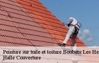 Peinture sur tuile et toiture