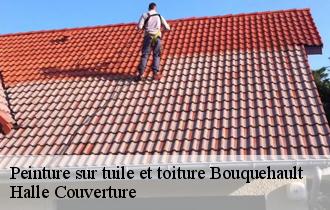Peinture sur tuile et toiture  bouquehault-62340 Halle Couverture