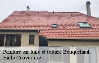 Peinture sur tuile et toiture  62340