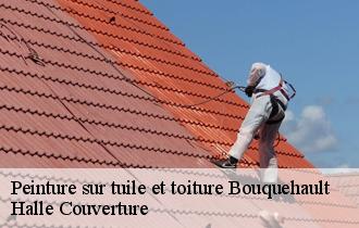Peinture sur tuile et toiture