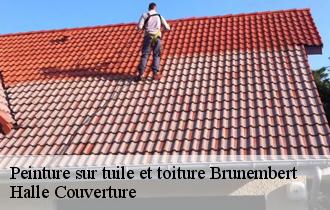 Peinture sur tuile et toiture brunembert-62240 Halle Couverture