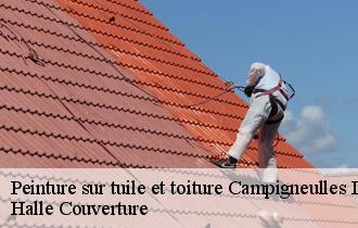 Peinture sur tuile et toiture