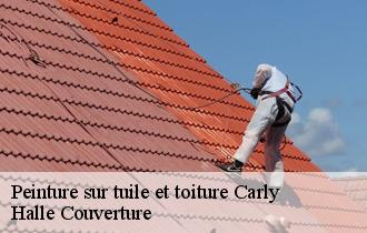 Peinture sur tuile et toiture