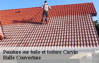 Peinture sur tuile et toiture  carvin-62220 Halle Couverture