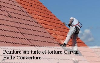 Peinture sur tuile et toiture