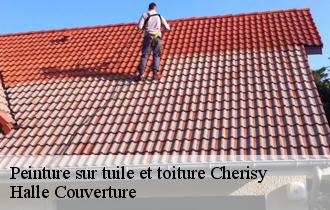 Peinture sur tuile et toiture  cherisy-62128 Halle Couverture