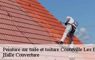 Peinture sur tuile et toiture