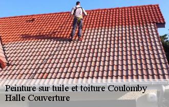 Peinture sur tuile et toiture  coulomby-62380 Halle Couverture