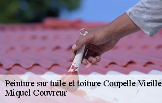 Peinture sur tuile et toiture  coupelle-vieille-62310 Miquel Couvreur