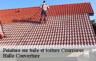 Peinture sur tuile et toiture courrieres-62710 Halle Couverture