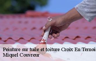 Peinture sur tuile et toiture  croix-en-ternois-62130 Miquel Couvreur