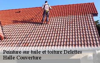 Peinture sur tuile et toiture  delettes-62129 Halle Couverture