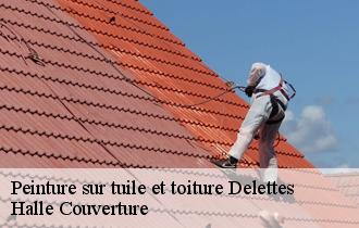 Peinture sur tuile et toiture