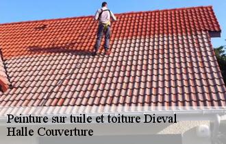 Peinture sur tuile et toiture  dieval-62460 Halle Couverture