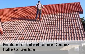 Peinture sur tuile et toiture  douriez-62870 Halle Couverture