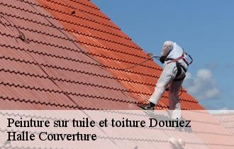 Peinture sur tuile et toiture